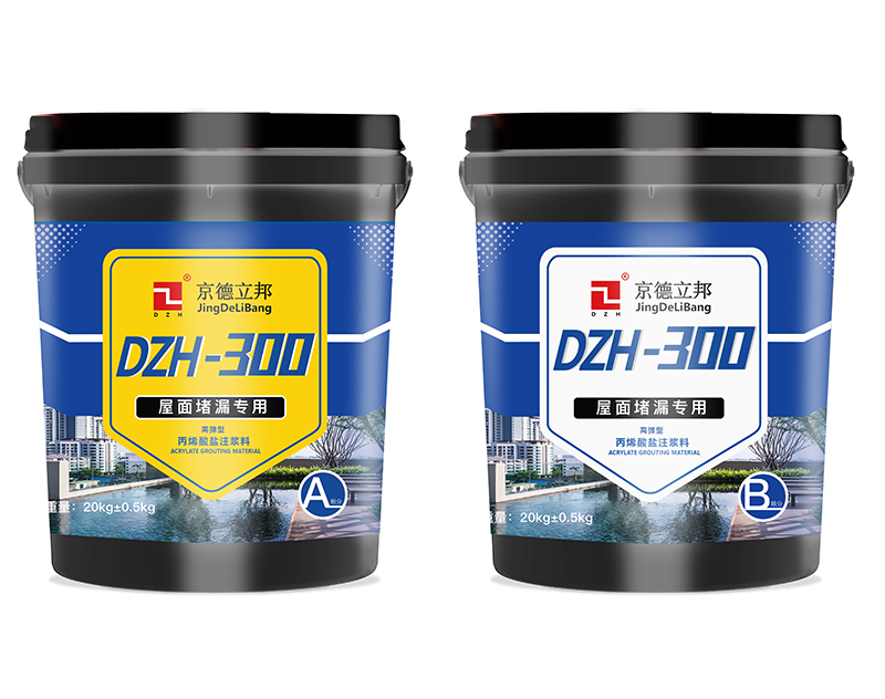 DZH丙烯酸盐300